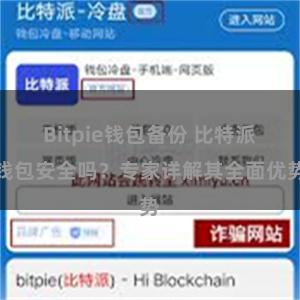 Bitpie钱包备份 比特派钱包安全吗？专家详解其全面优势