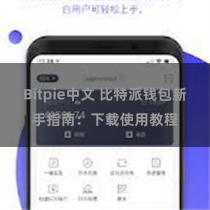 Bitpie中文 比特派钱包新手指南：下载使用教程