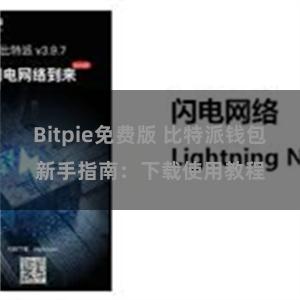 Bitpie免费版 比特派钱包新手指南：下载使用教程