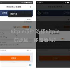 Bitpie币种 选择Bitpie的原因，你知道吗？