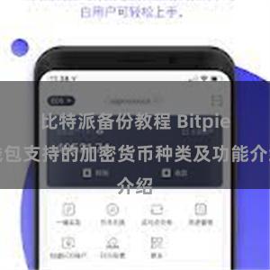 比特派备份教程 Bitpie钱包支持的加密货币种类及功能介绍