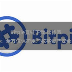 Bitpie直链下载 比特派：全方位保护用户数字资产安全