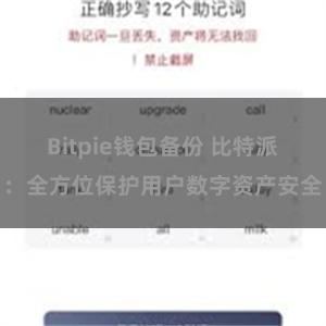 Bitpie钱包备份 比特派：全方位保护用户数字资产安全