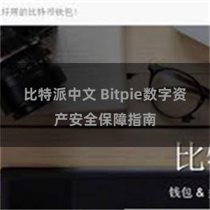 比特派中文 Bitpie数字资产安全保障指南