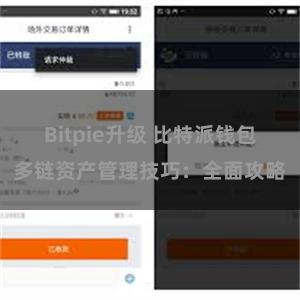 Bitpie升级 比特派钱包多链资产管理技巧：全面攻略