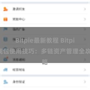 Bitpie最新教程 Bitpie钱包使用技巧：多链资产管理全攻略