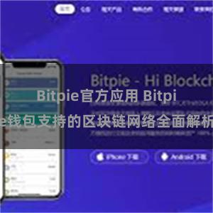 Bitpie官方应用 Bitpie钱包支持的区块链网络全面解析