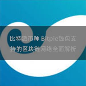 比特派币种 Bitpie钱包支持的区块链网络全面解析