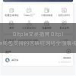 Bitpie交易指南 Bitpie钱包支持的区块链网络全面解析