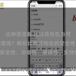 比特派全新 比特派钱包为何是专业用户的首选？解析比特派钱包的安全性、功能性、便捷性、支持性等优势。