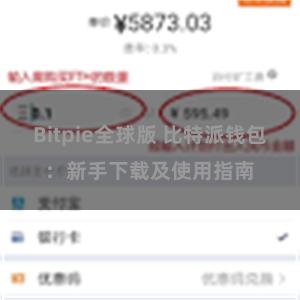 Bitpie全球版 比特派钱包：新手下载及使用指南