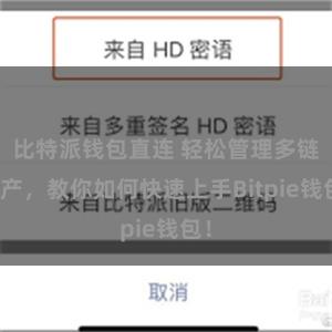 比特派钱包直连 轻松管理多链资产，教你如何快速上手Bitpie钱包！