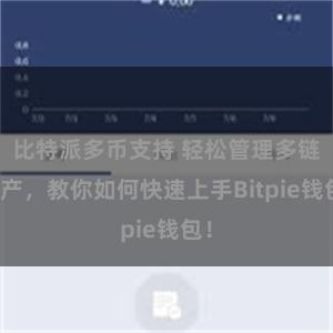 比特派多币支持 轻松管理多链资产，教你如何快速上手Bitpie钱包！