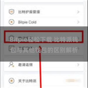 Bitpie轻松下载 比特派钱包与其他钱包的区别解析