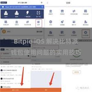 Bitpie iOS 解决比特派钱包使用问题的实用技巧