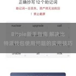 Bitpie新手指南 解决比特派钱包使用问题的实用技巧