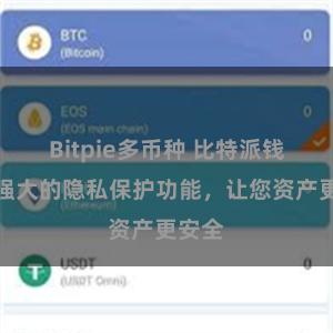 Bitpie多币种 比特派钱包：强大的隐私保护功能，让您资产更安全