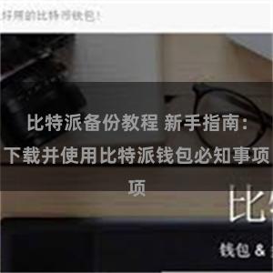 比特派备份教程 新手指南：下载并使用比特派钱包必知事项