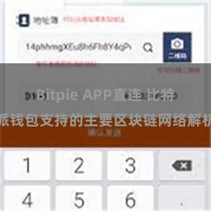 Bitpie APP直连 比特派钱包支持的主要区块链网络解析