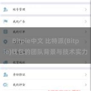 Bitpie中文 比特派(Bitpie)钱包的团队背景与技术实力