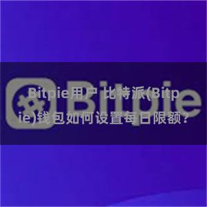 Bitpie用户 比特派(Bitpie)钱包如何设置每日限额？