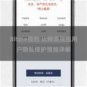 Bitpie钱包 比特派钱包用户隐私保护措施详解