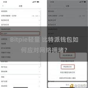 Bitpie轻量 比特派钱包如何应对网络拥堵？