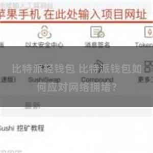 比特派轻钱包 比特派钱包如何应对网络拥堵？