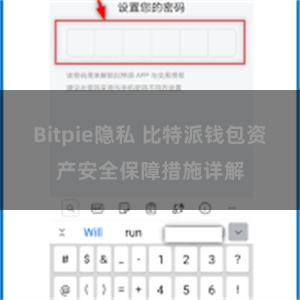 Bitpie隐私 比特派钱包资产安全保障措施详解