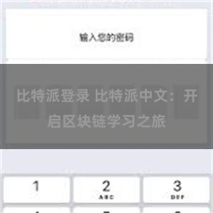 比特派登录 比特派中文：开启区块链学习之旅