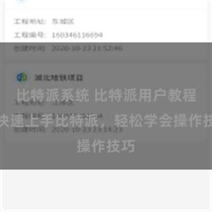 比特派系统 比特派用户教程：快速上手比特派，轻松学会操作技巧