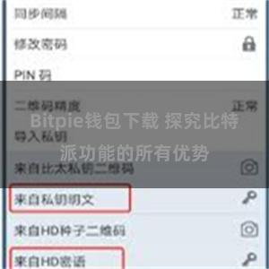 Bitpie钱包下载 探究比特派功能的所有优势