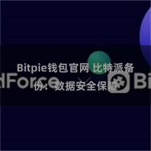 Bitpie钱包官网 比特派备份：数据安全保障