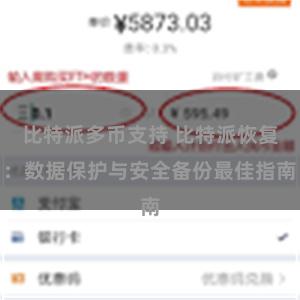 比特派多币支持 比特派恢复：数据保护与安全备份最佳指南