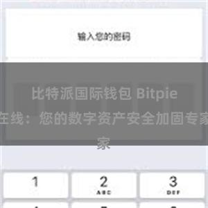 比特派国际钱包 Bitpie在线：您的数字资产安全加固专家