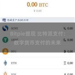 Bitpie提现 比特派支付：数字货币支付的未来
