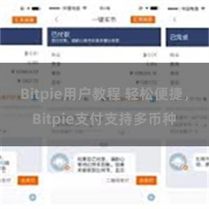 Bitpie用户教程 轻松便捷，Bitpie支付支持多币种