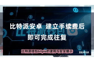 比特派安卓  建立手续费后即可完成往复