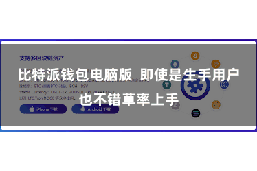 比特派钱包电脑版 即使是生手用户也不错草率上手