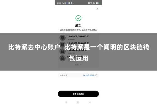 比特派去中心账户  比特派是一个闻明的区块链钱包运用